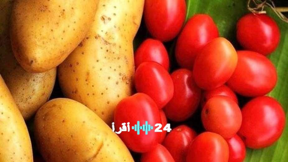 زيادة معروض الطماطم والبطاطس والدواجن يؤدي إلى انخفاض الأسعار في ظل البيع بأقل من التكلفة