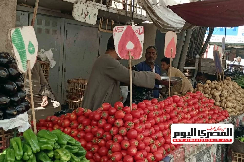 الكوسة بـ15.. تعرف على أسعار الخضار بأسواق الإسكندرية اليوم