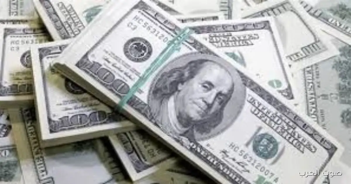 «هبوط سعر الدولار أمام الجنيه المصري اليوم 24 نوفمبر 2025»