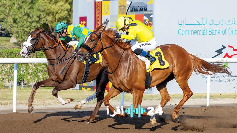 82 خيلًا تتنافس على ألقاب سباق عيد الاتحاد في مضمار جبل علي