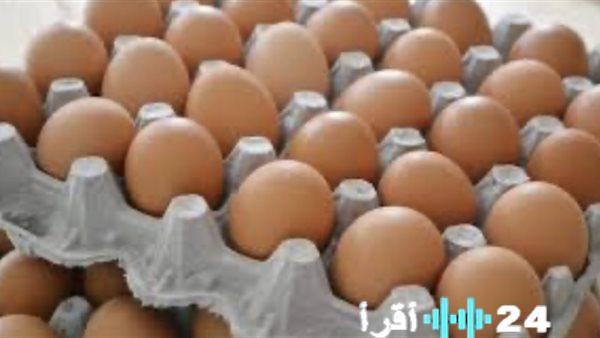 سعر كرتونة البيض للمستهلك في السوق اليوم الثلاثاء 25 نوفمبر 2025
