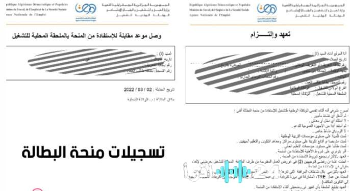 «فرصة ذهبية لإعادة بناء مستقبلك» تسجيل منحة البطالة minha في الجزائر 2025 عبر موقع minha.anem.dz