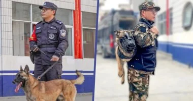 معجزة كلب صيني ينجو من القتل الرحيم وينضم لقوات التدخل السريع الشرطية