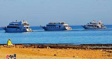 وحدة أنس وسكينة قلب يسلم أمره لله