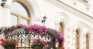 وداعاً للحشرات المزعجة 7 نصائح ذهبية لحماية حديقتك وشرفتك