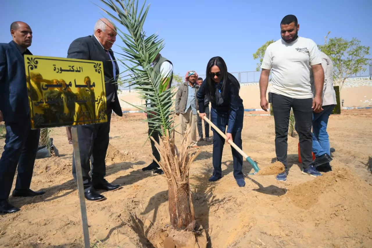 «توجيه وزيرة التضامن: استصلاح 5 آلاف فدان وزراعة النخيل لتحقيق التنمية المستدامة»