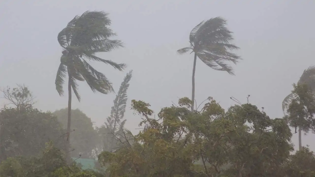«تحذيرات من التقلبات الجوية القاسية» رئيس مركز المناخ يكشف عن توقعات بسقوط سيول في مناطق محددة غدًا وبعد غد