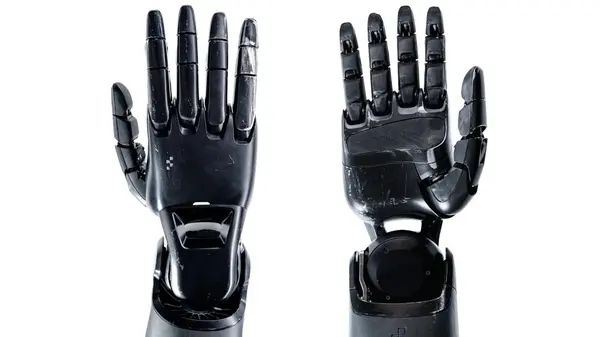 «روبوتات بشرية تتوقف عن العمل بعد مساهمتها في إنتاج 30 ألف سيارة»