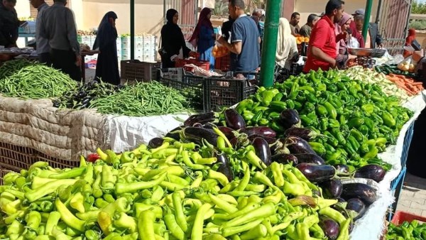 «أسعار الخضر والفاكهة تتأرجح في أسواق الوادي الجديد»