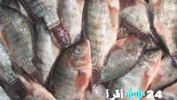 «أسعار الأسماك الطازجة تسجل ارتفاعًا ملحوظًا في أسواق الوادي الجديد»