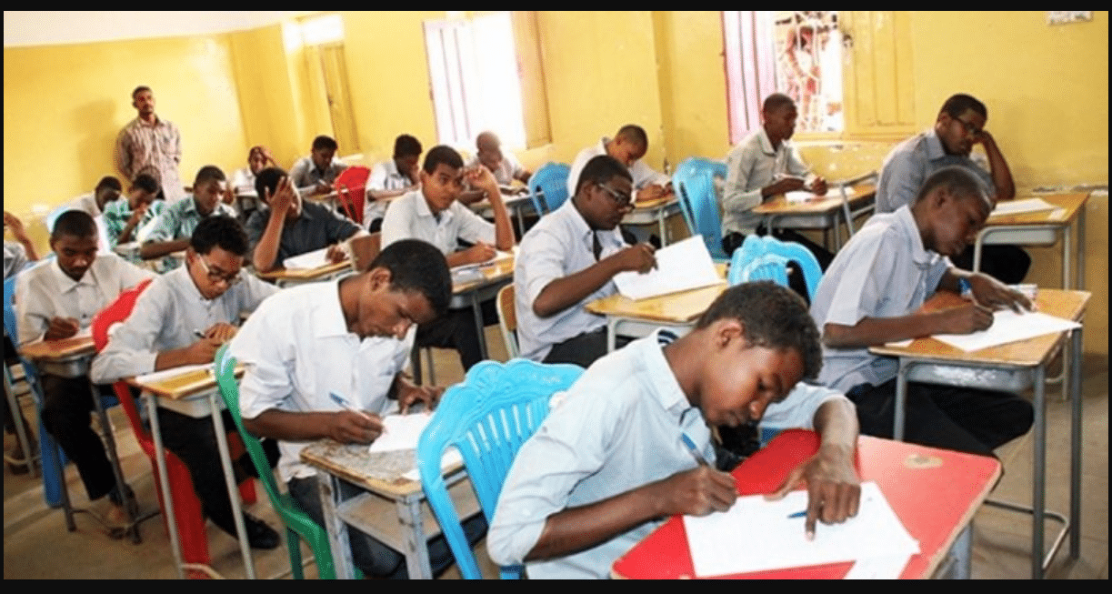 رابط نتيجة الشهادة الابتدائية ولاية الجزيرة 2025 sudani.sd الاستعلام الإلكتروني