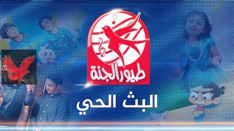 تردد قناة طيور الجنة 2025 على نايل سات وعرب سات وكيفية ضبط القناة بجودة عالية للأطفال