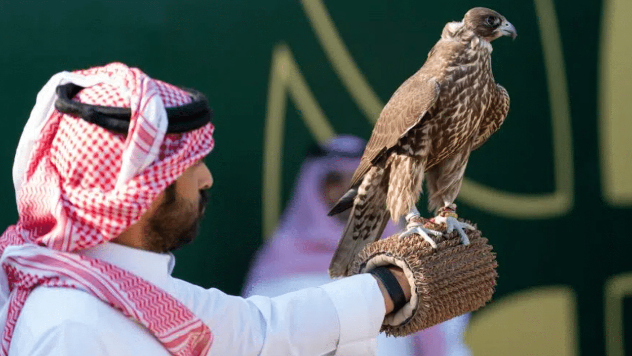 «انطلاق كأس نادي الصقور السعودي 2025 في الخبر وتخريج 60 صقرًا فائزًا»