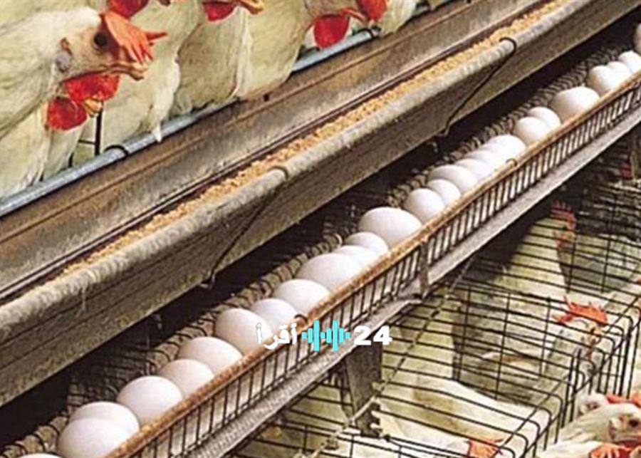 تأمين احتياجات السوق لضمان راحة اللبنانيين