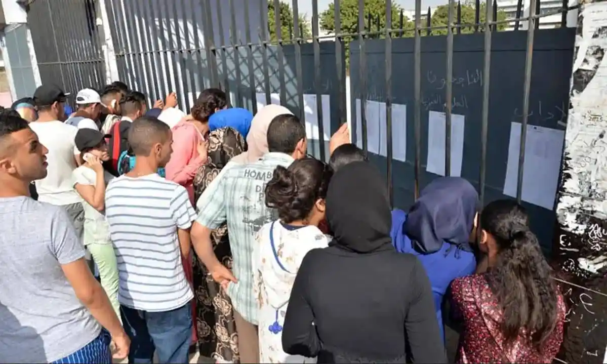 البيام الكشف عن نسبة النجاح الرسمية وقوائم الطلاب المتفوقين