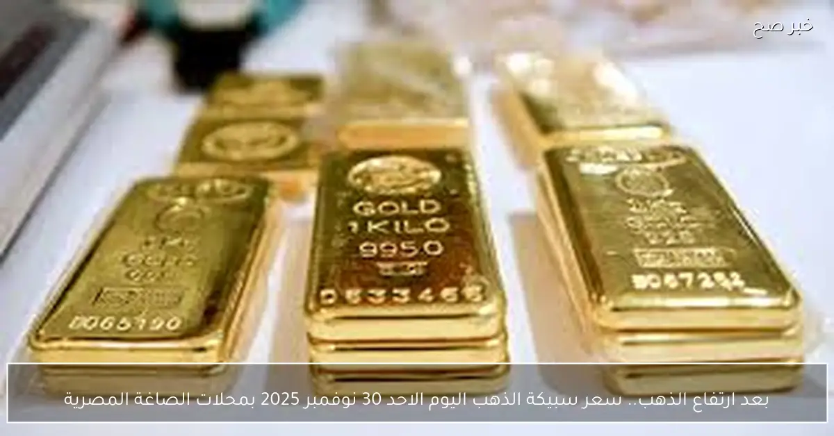 ارتفاع سعر سبيكة الذهب اليوم في محلات الصاغة المصرية الأحد 30 نوفمبر 2025