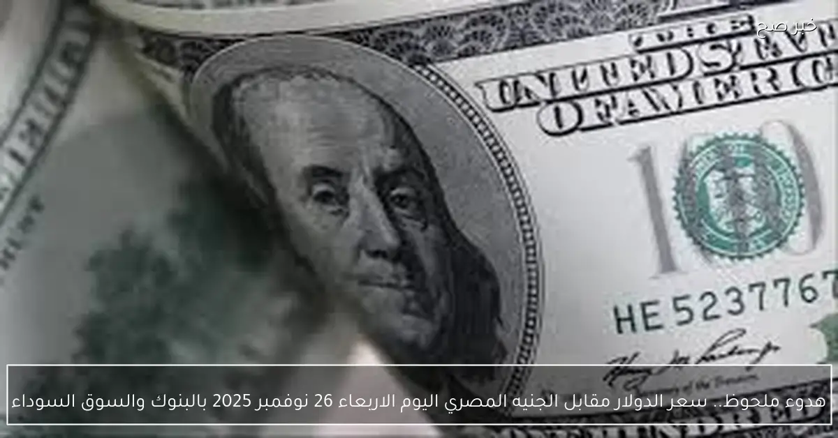 «تحديث هادئ لأسعار الدولار» سعر الدولار مقابل الجنيه المصري اليوم الأربعاء 26 نوفمبر 2025 في البنوك والسوق السوداء