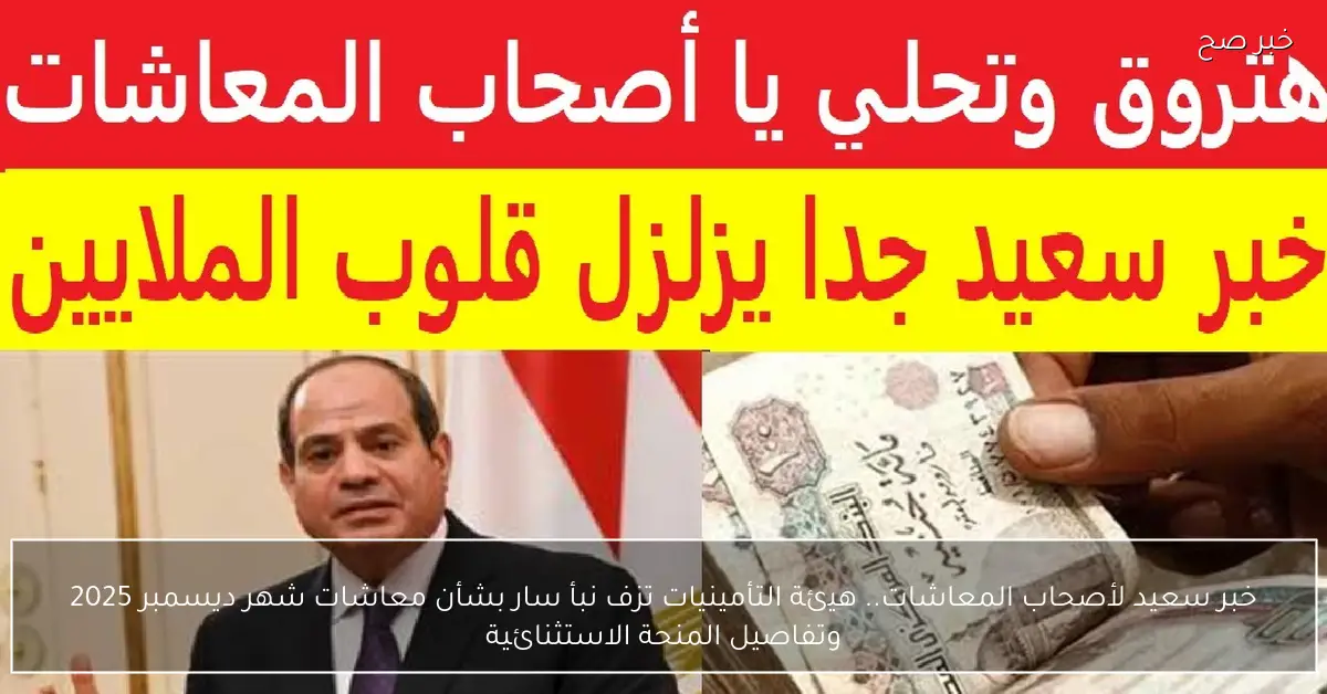 هيئة التأمينات تبشر أصحاب المعاشات بأخبار مفرحة عن معاشات ديسمبر 2025 والمنحة الاستثنائية المرتقبة