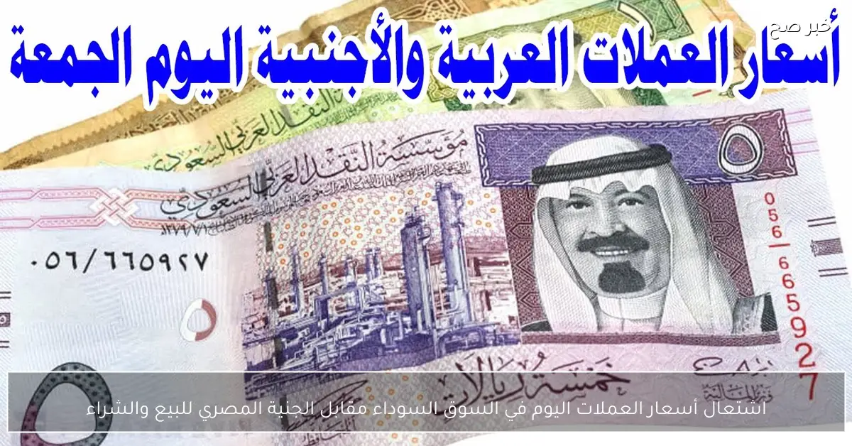 «أسعار العملات تداولات اليوم في السوق السوداء مقابل الجنيه المصري»