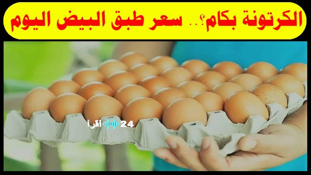 أسعار كرتونة البيض اليوم في الأسواق وبورصة الدواجن مع تحديثات شاملة للمستويات المختلفة للأبيض والأحمر والبلدي