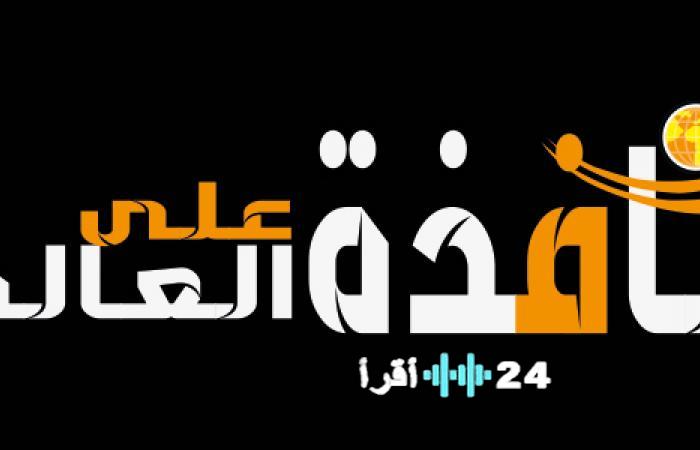 «خبر سار يثلج الصدور» بشرى للمستهلكين هبوط أسعار الدواجن البيضاء في مستهل تعاملات الأحد 30 نوفمبر 2025