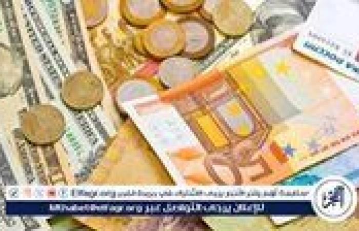 «أسعار العملات الأجنبية مقابل الجنيه المصري في أسوان اليوم الأربعاء 26 نوفمبر 2025»
