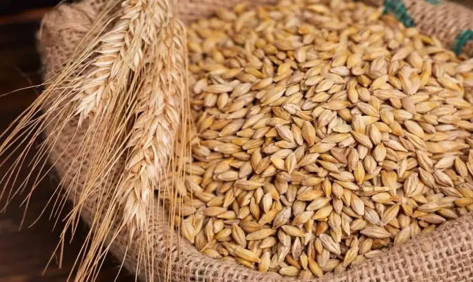 «أسعار الأرز الشعير اليوم في الأسواق المحلية» أسعار الأرز الشعير بأنواعه العريض والرفيع للحبة تتصدر السوق اليوم السبت 29 نوفمبر 2025