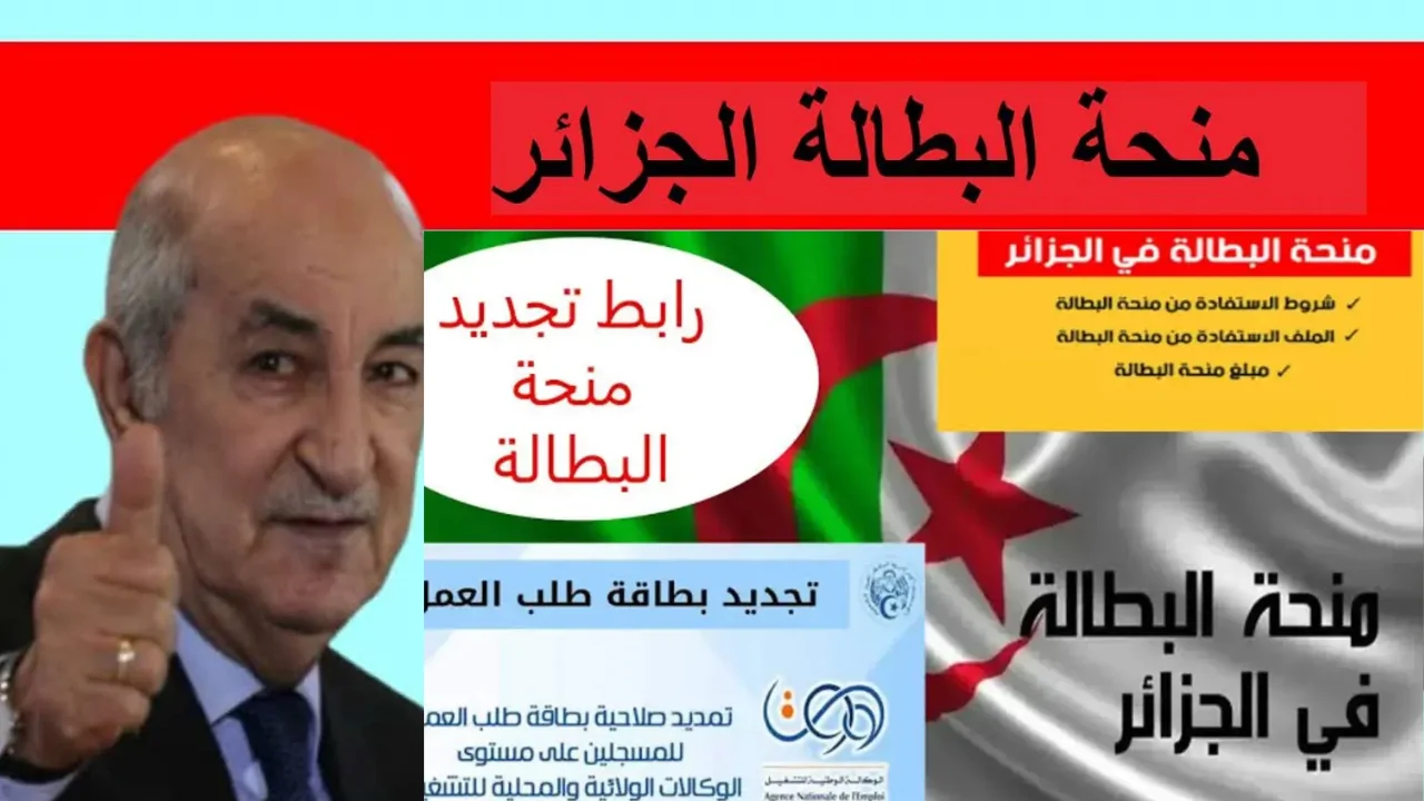 «استكشف كيفية تجديد منحة البطالة في الجزائر 2025 وتعرّف على شروط صرف المنحة الجديدة بدقة»