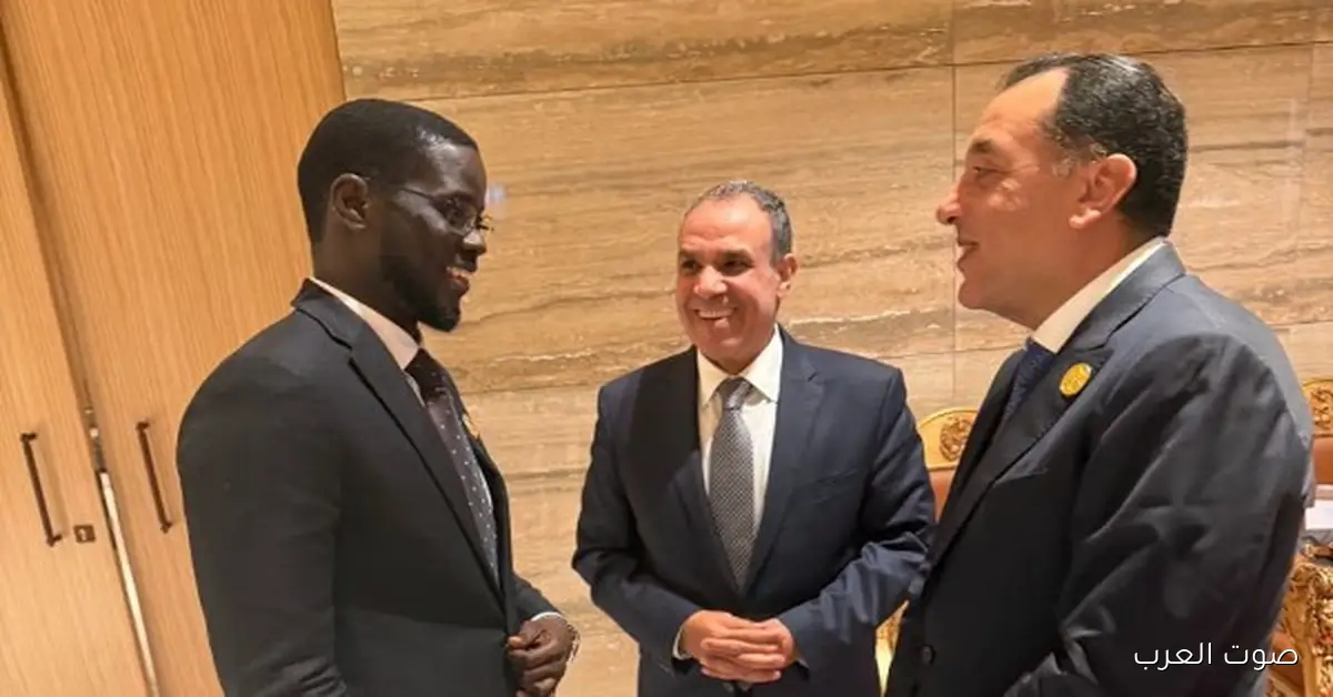 «علاقة سنغالية مصرية: نموذج يُبرز التعاون الفعّال بين الدول الإفريقية»