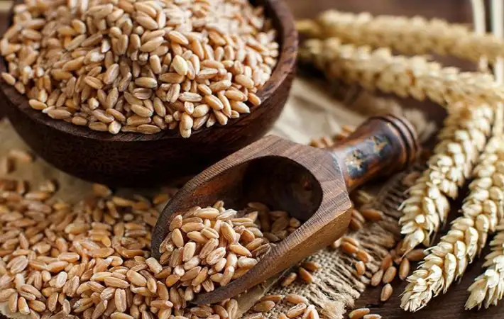 «أسعار الأرز الشعير في الأسواق المصرية اليوم السبت 29 نوفمبر 2025»