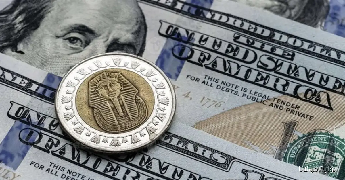 تراجع غير متوقع لسعر الدينار الأردني مقابل الجنيه المصري في السوق المركزي والبنوك