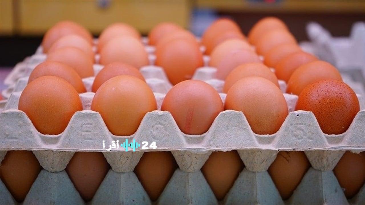 فتح الاستيراد يهوي بأسعار البيض في الأسواق