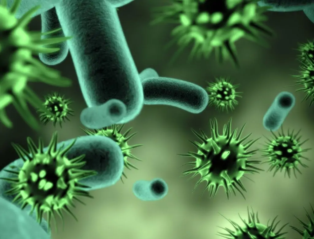 «التعليم تكشف تفاصيل رسمية حول الفيروسات التنفسية: هل سيتم تحويل الدراسة إلى أون لاين ووقف الغياب؟»