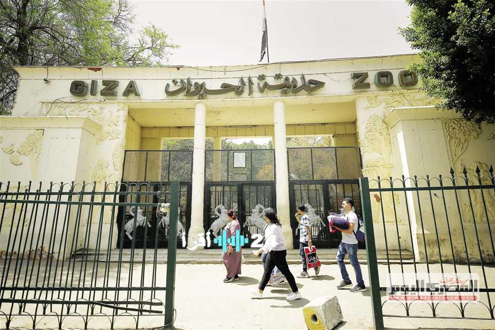 حديقة الحيوان بالجيزة تستأنف نشاطها بعد التجديدات في 2026