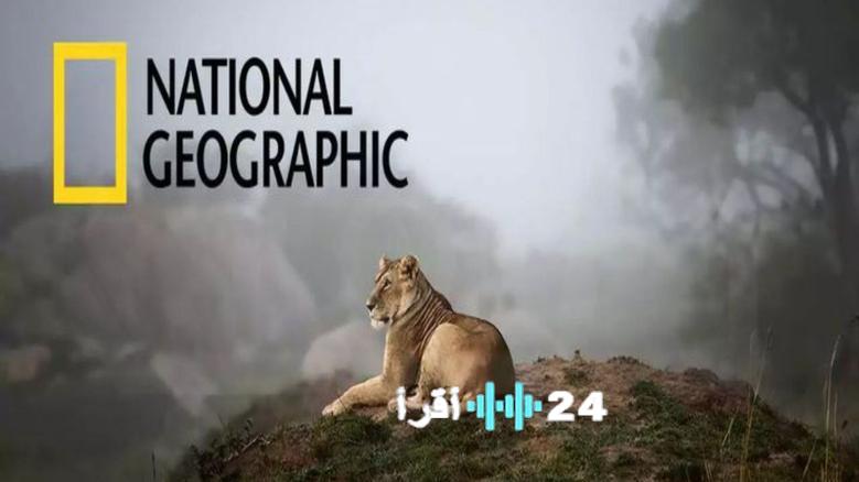 تردد قناة ناشيونال جيوغرافيك أبوظبي الجديد لعام 2026 بجودة HD على نايل سات عرب سات