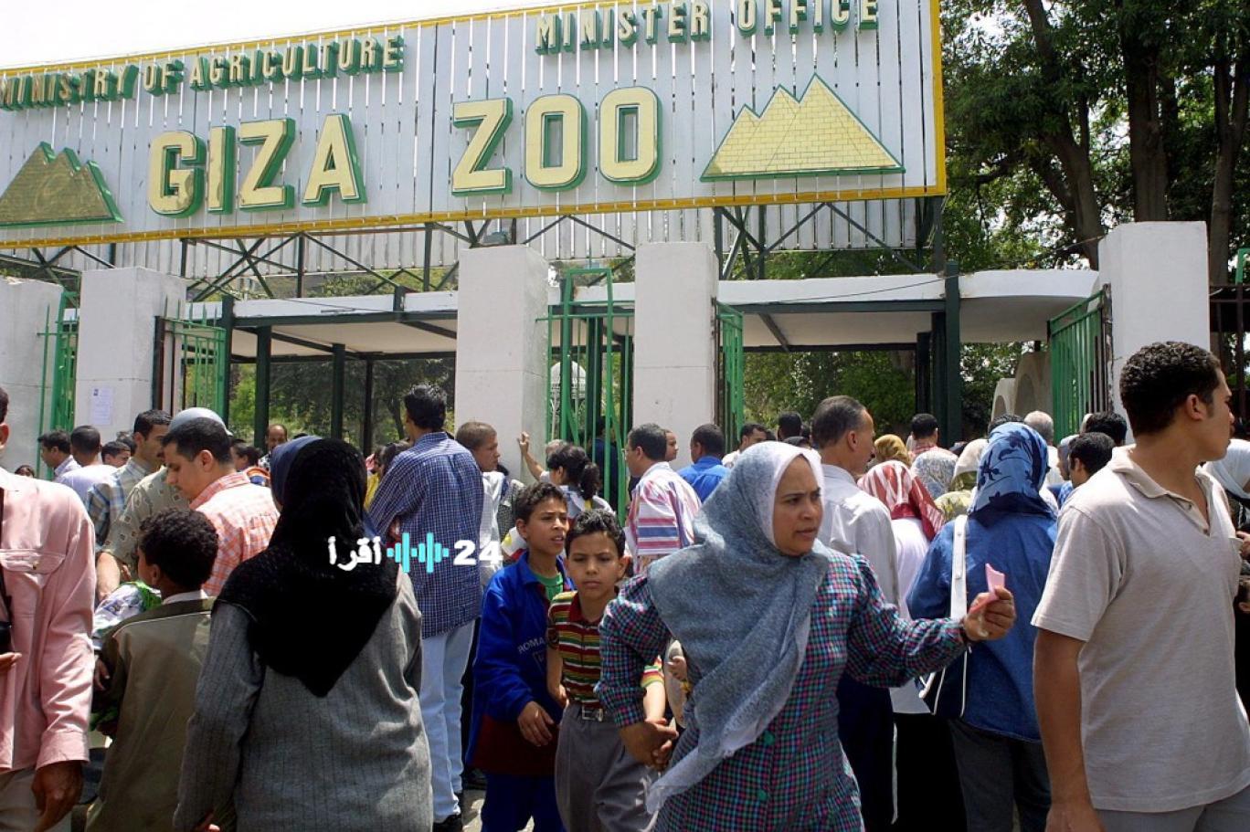 «مستقبل جديد لحيواناتنا» أكبر تحول في تاريخ حديقة الحيوان: مشروع تطوير شامل يعيد تشكيلها كوجهة عالمية