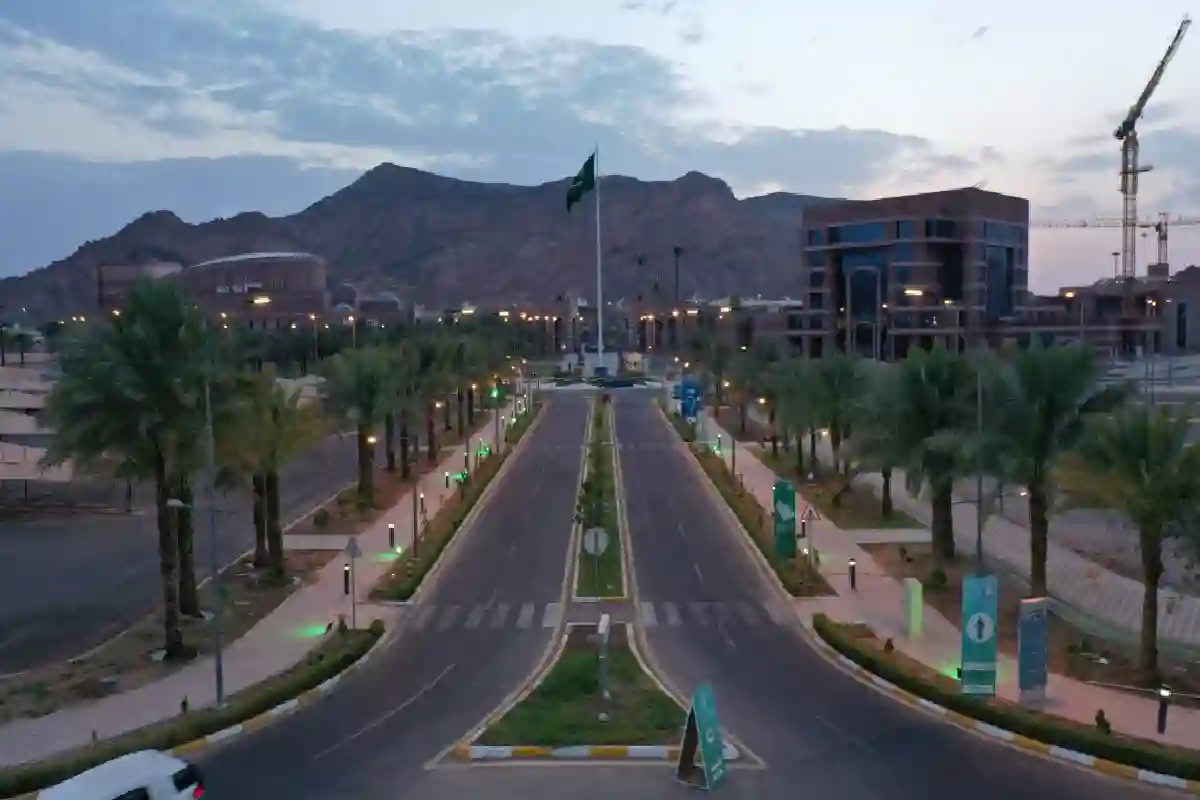 جامعة طيبة تقدم فرص تدريس جديدة تستقطب الكفاءات الوطنية