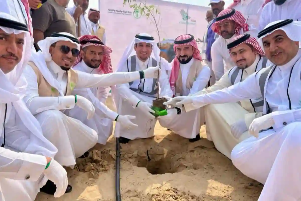 البرنامج الوطني للتشجير يكشف عن 61 نوعًا من النباتات المعمرة لتحويل الشرقية إلى واحة خضراء