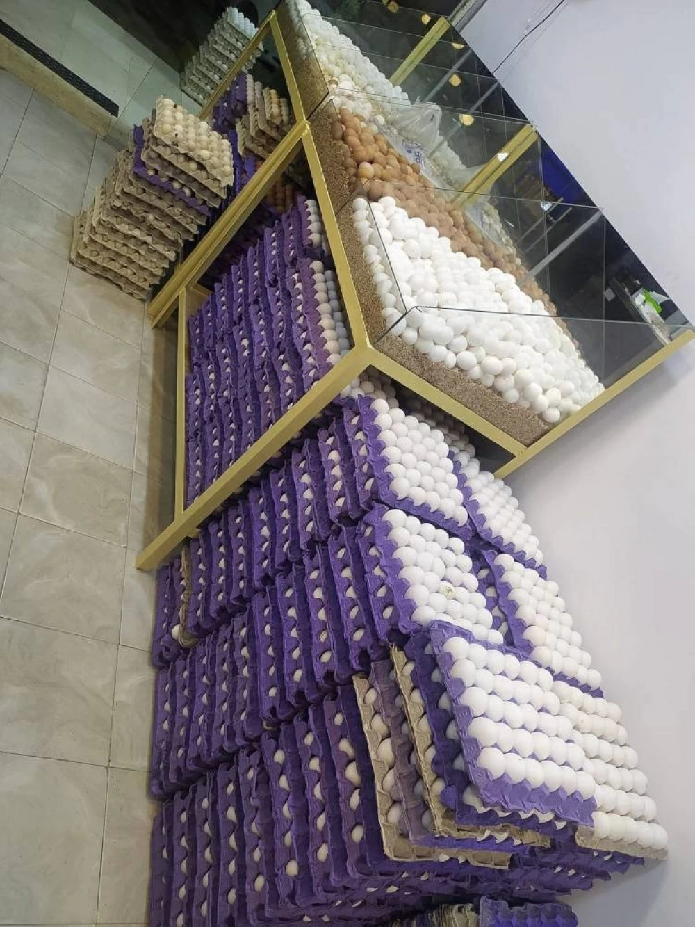 «متابعة فورية» مستجدات أسعار الدواجن والبيض بأسواق الأقصر مع فجر الإثنين الأول من ديسمبر 2025