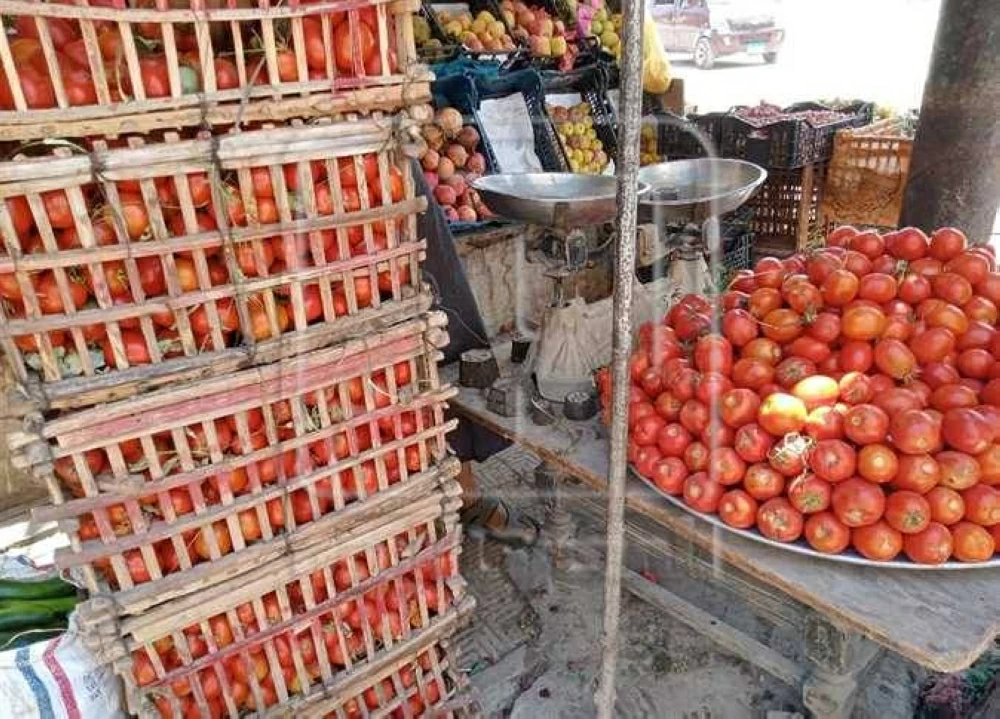 البطاطس بـ 10 جنيه فقط.. أسعار الخضار اليوم الأحد 7 ديسمبر 2025 في أسواق المنياالبطاطس بـ 10 جنيه.. جديد أسعار الخضار اليوم الأحد 7 ديسمبر 2025 في أسواق المنياالبطاطس تسجل 10 جنيه.. أسعار الخضار اليوم الأحد 7 ديسمبر 2025 في أسواق المنيا