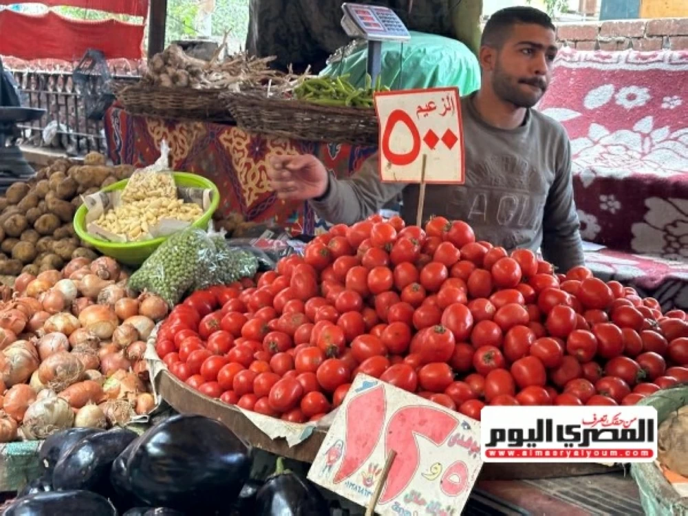 أسعار الخضروات في أسواق الجملة والشعبية بالإسكندرية اليوم الأحد 21 ديسمبر 2025 والكوسة تسجل 20 جنيها