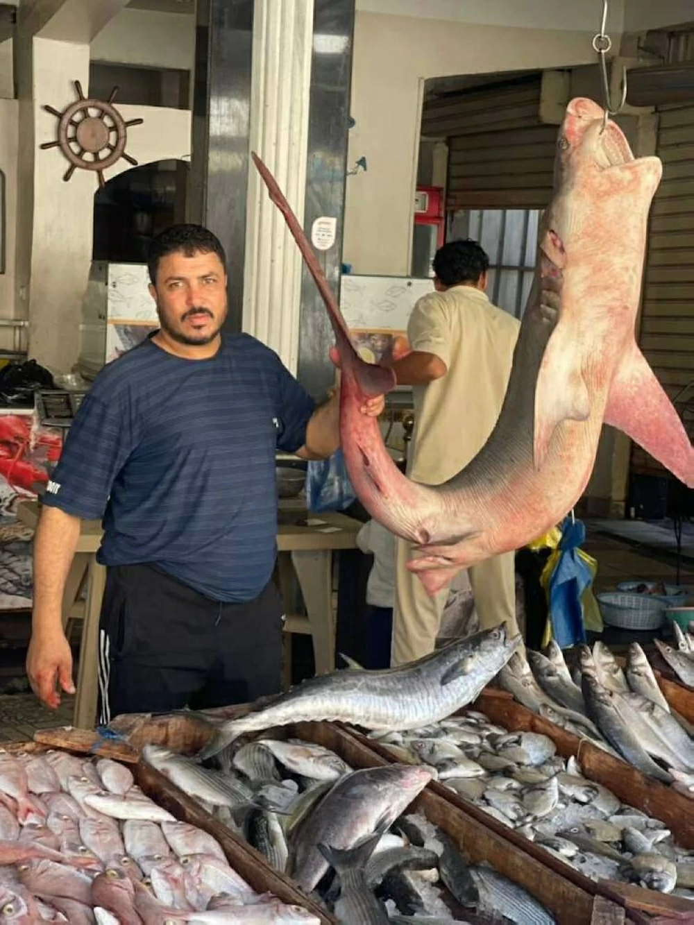 أسعار الأسماك في أسواق مطروح تصل إلى 180 جنيها لسمك المكرونة اليوم