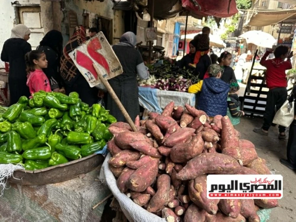 سعر الفلفل الرومي 30 جنيها.. أسعار الخضروات في المنيا اليوم الثلاثاء
