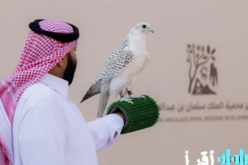 مهرجان الملك عبدالعزيز للصقور 2025 يستقطب 315 صقرًا من المُلاك المحليين في منافسات استثنائية