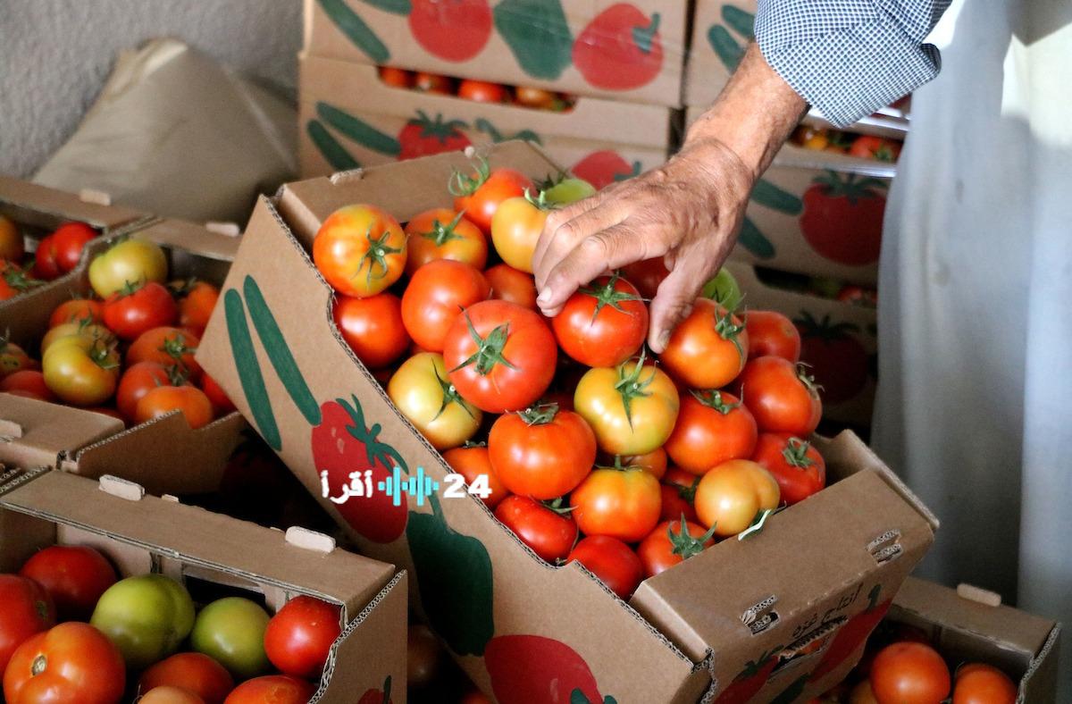 قبل أيام من العيد… سوق الخضار يتحول إلى سوق غير قانونية
