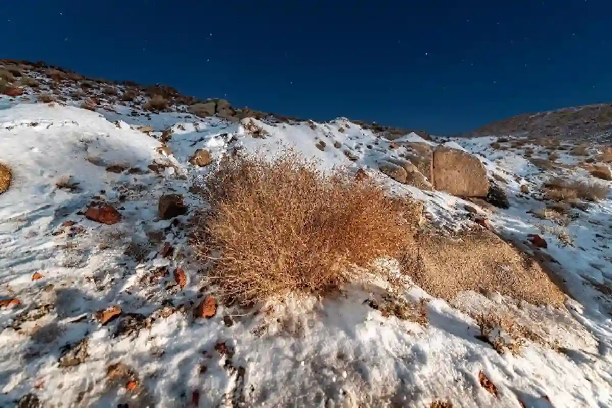 القوات الخاصة للأمن والحماية تعزز جاهزيتها في تبوك وسط تساقط الثلوج في ظل ظروف مثيرة