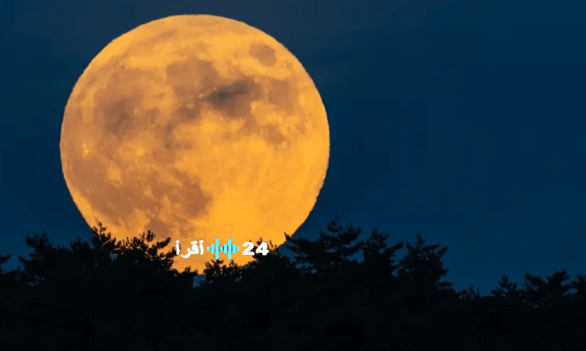القمر البارد العملاق يضيء سماء العالم مساء الخميس آخر قمر عملاق في 2025