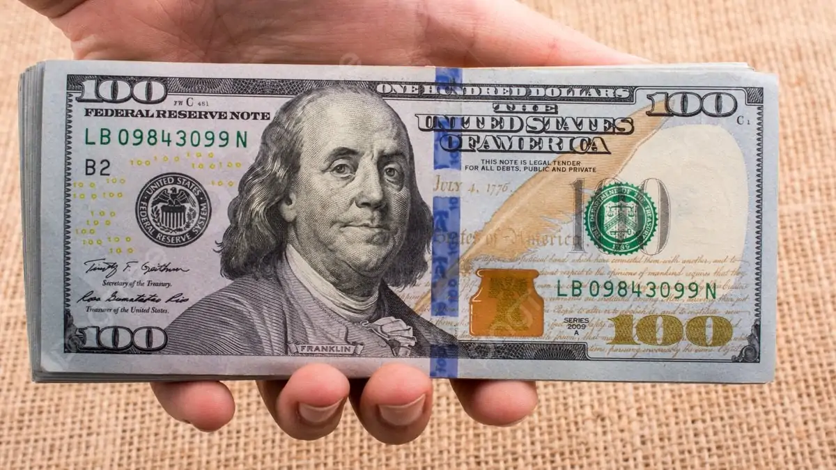 «أسعار الدولار اليوم: 13 ديسمبر 2025 أمام الجنيه المصري في البنوك»