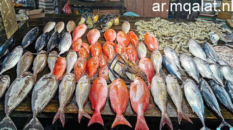 سعر سمك البلطي في سوق القليوبية اليوم الأحد 28 ديسمبر 2025