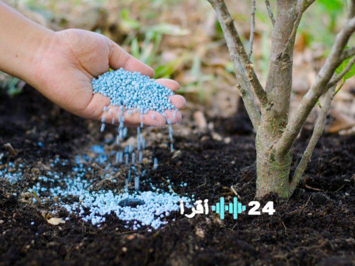 «أسعار الأسمدة ترتفع في الأسواق اليوم الأحد 28 ديسمبر 2025»